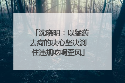 沈晓明：以猛药去疴的决心坚决刹住违规吃喝歪风