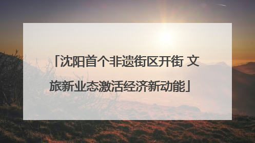 沈阳首个非遗街区开街 文旅新业态激活经济新动能