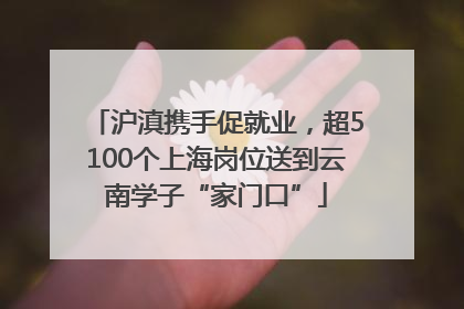 沪滇携手促就业，超5100个上海岗位送到云南学子“家门口”