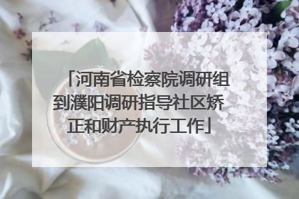 河南省检察院调研组到濮阳调研指导社区矫正和财产执行工作