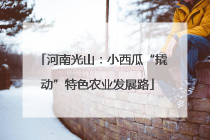 河南光山：小西瓜“撬动”特色农业发展路
