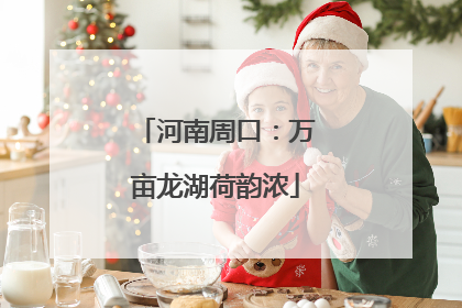 河南周口：万亩龙湖荷韵浓