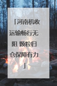 河南机收运输畅行无阻 颗粒归仓保障有力