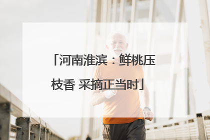 河南淮滨：鲜桃压枝香 采摘正当时