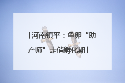 河南镇平：鱼卵“助产师”走俏孵化期