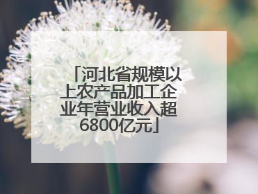 河北省规模以上农产品加工企业年营业收入超6800亿元