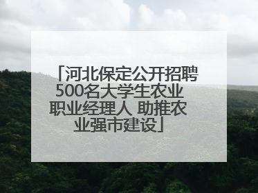 河北保定公开招聘500名大学生农业职业经理人 助推农业强市建设
