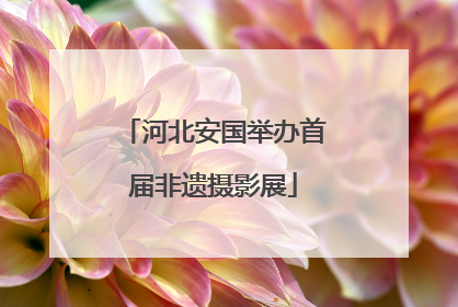 河北安国举办首届非遗摄影展