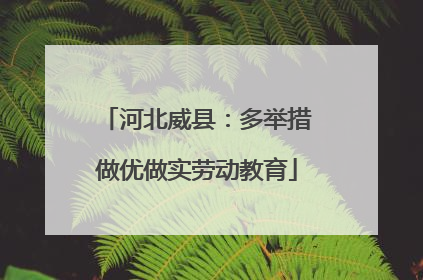 河北威县：多举措做优做实劳动教育