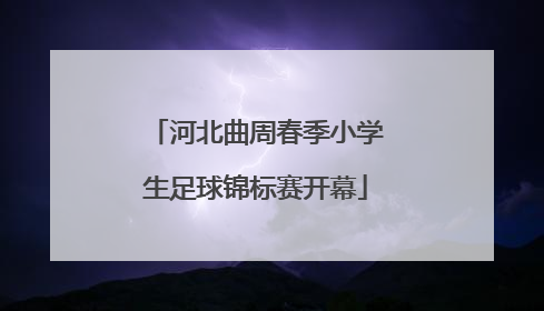 河北曲周春季小学生足球锦标赛开幕