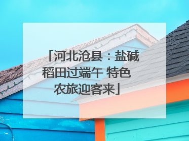 河北沧县：盐碱稻田过端午 特色农旅迎客来