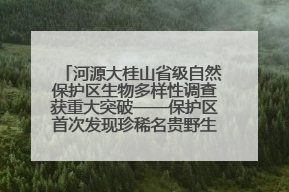 河源大桂山省级自然保护区生物多样性调查获重大突破——保护区首次发现珍稀名贵野生干巴菌与钝尾两头蛇