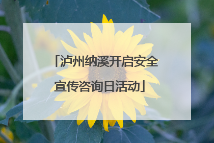 泸州纳溪开启安全宣传咨询日活动