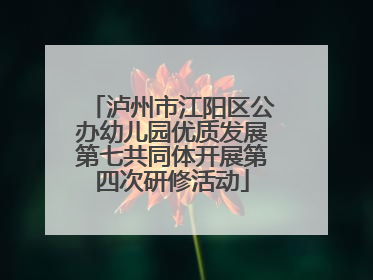 泸州市江阳区公办幼儿园优质发展第七共同体开展第四次研修活动