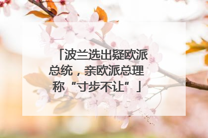 波兰选出疑欧派总统，亲欧派总理称“寸步不让”