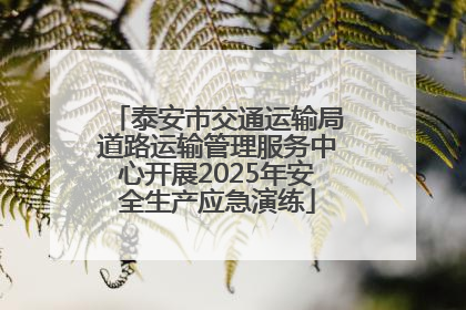泰安市交通运输局道路运输管理服务中心开展2025年安全生产应急演练