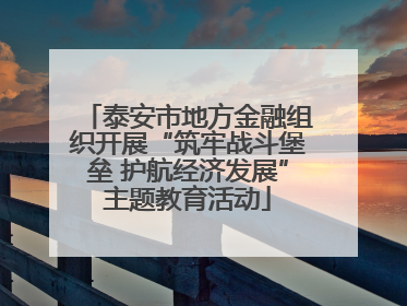 泰安市地方金融组织开展“筑牢战斗堡垒 护航经济发展”主题教育活动