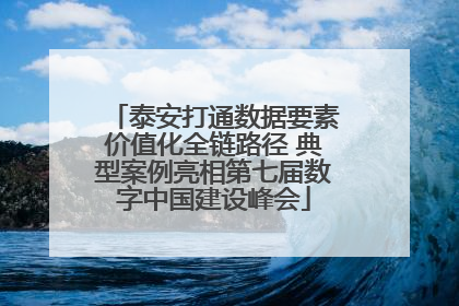 泰安打通数据要素价值化全链路径 典型案例亮相第七届数字中国建设峰会