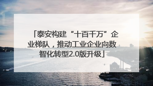 泰安构建“十百千万”企业梯队，推动工业企业向数智化转型2.0版升级