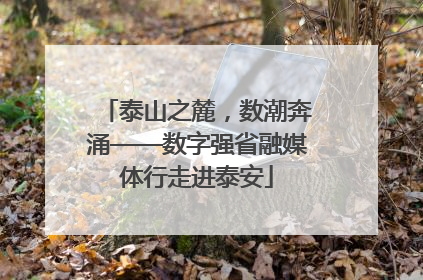泰山之麓，数潮奔涌——数字强省融媒体行走进泰安