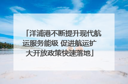 洋浦港不断提升现代航运服务能级 促进航运扩大开放政策快速落地
