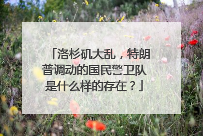 洛杉矶大乱，特朗普调动的国民警卫队是什么样的存在？