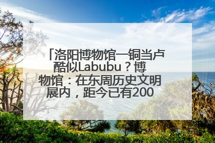 洛阳博物馆一铜当卢酷似Labubu？博物馆：在东周历史文明展内，距今已有2000多年历史