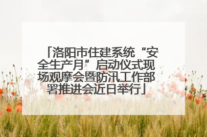 洛阳市住建系统“安全生产月”启动仪式现场观摩会暨防汛工作部署推进会近日举行