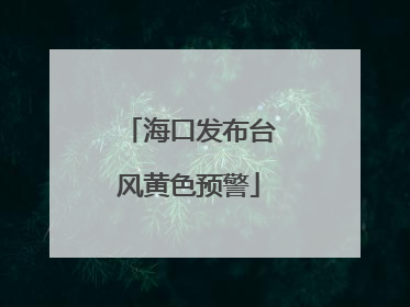 海口发布台风黄色预警