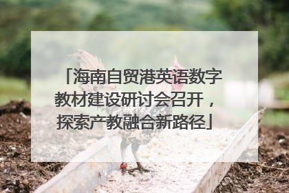 海南自贸港英语数字教材建设研讨会召开，探索产教融合新路径