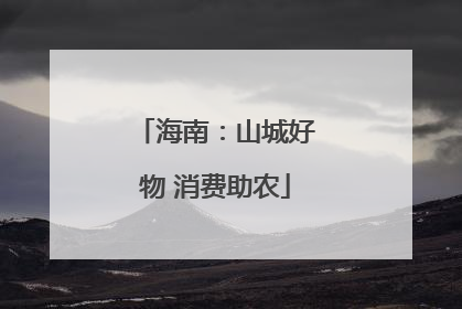海南：山城好物 消费助农