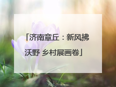 济南章丘：新风拂沃野 乡村展画卷
