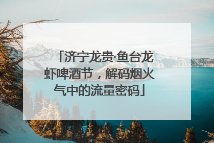 济宁龙贵·鱼台龙虾啤酒节，解码烟火气中的流量密码
