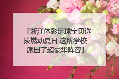 浙江体彩足球宝贝选拔燃动夏日 这所学校派出了超豪华阵容