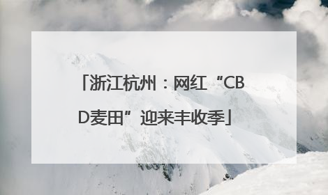 浙江杭州：网红“CBD麦田”迎来丰收季