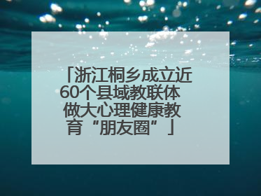 浙江桐乡成立近60个县域教联体 做大心理健康教育“朋友圈”
