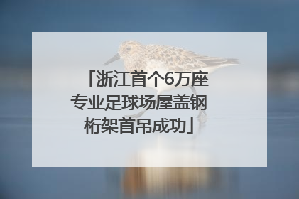 浙江首个6万座专业足球场屋盖钢桁架首吊成功