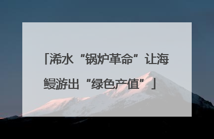 浠水“锅炉革命”让海鳗游出“绿色产值”
