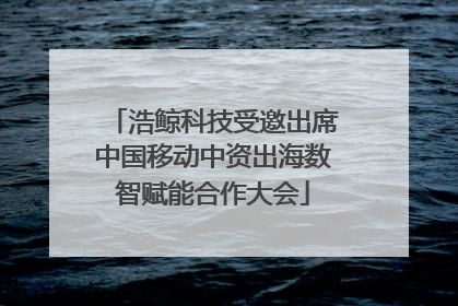 浩鲸科技受邀出席中国移动中资出海数智赋能合作大会
