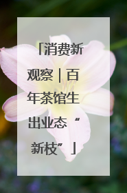消费新观察｜百年茶馆生出业态“新枝”