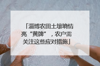 淄博农田土壤墒情亮“黄牌”，农户需关注这些应对措施