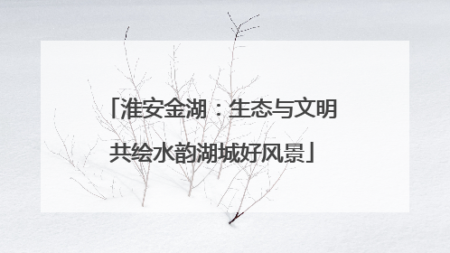 淮安金湖：生态与文明共绘水韵湖城好风景