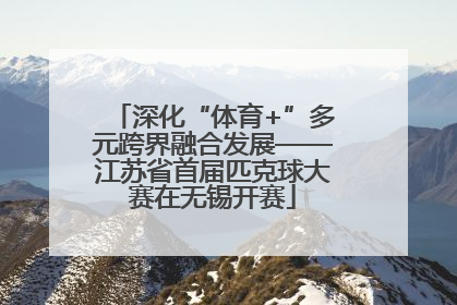 深化“体育+”多元跨界融合发展——江苏省首届匹克球大赛在无锡开赛