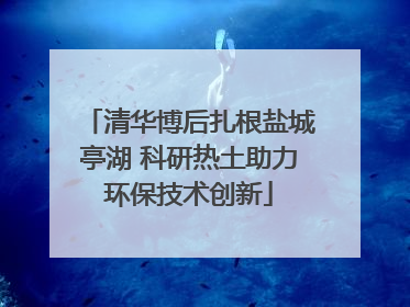 清华博后扎根盐城亭湖 科研热土助力环保技术创新