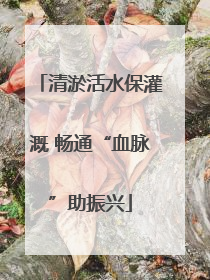 清淤活水保灌溉 畅通“血脉”助振兴