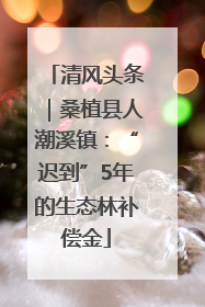 清风头条｜桑植县人潮溪镇：“迟到”5年的生态林补偿金