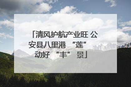 清风护航产业旺 公安县八里港 “莲” 动好 “丰” 景