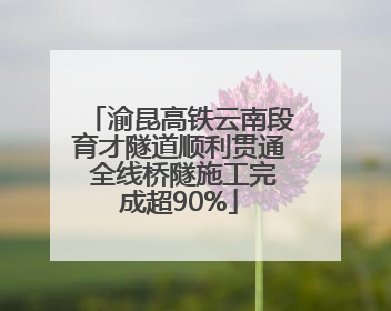 渝昆高铁云南段育才隧道顺利贯通 全线桥隧施工完成超90%