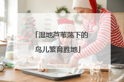 湿地芦苇荡下的鸟儿繁育胜地