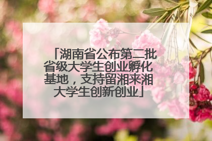 湖南省公布第二批省级大学生创业孵化基地，支持留湘来湘大学生创新创业